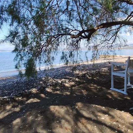 Vikos * Paralia Irion