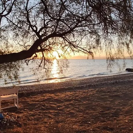 Appartamento Vikos *