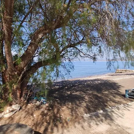 Vikos Апартаменты Paralia Irion