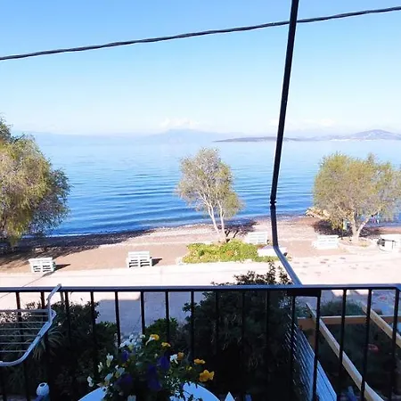 Апартаменты Vikos Paralia Irion