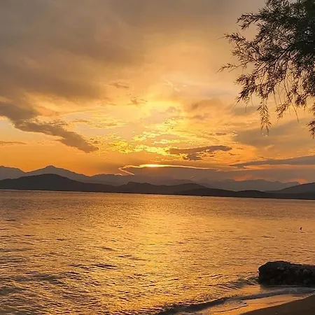 Vikos شقة Paralia Irion