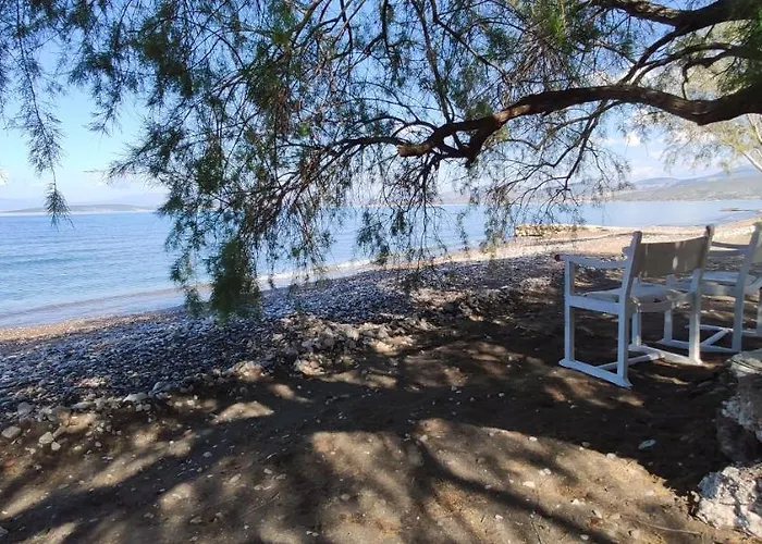 Vikos * Paralia Irion